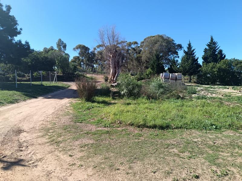 0 Bedroom Property for Sale in Albertinia Western Cape